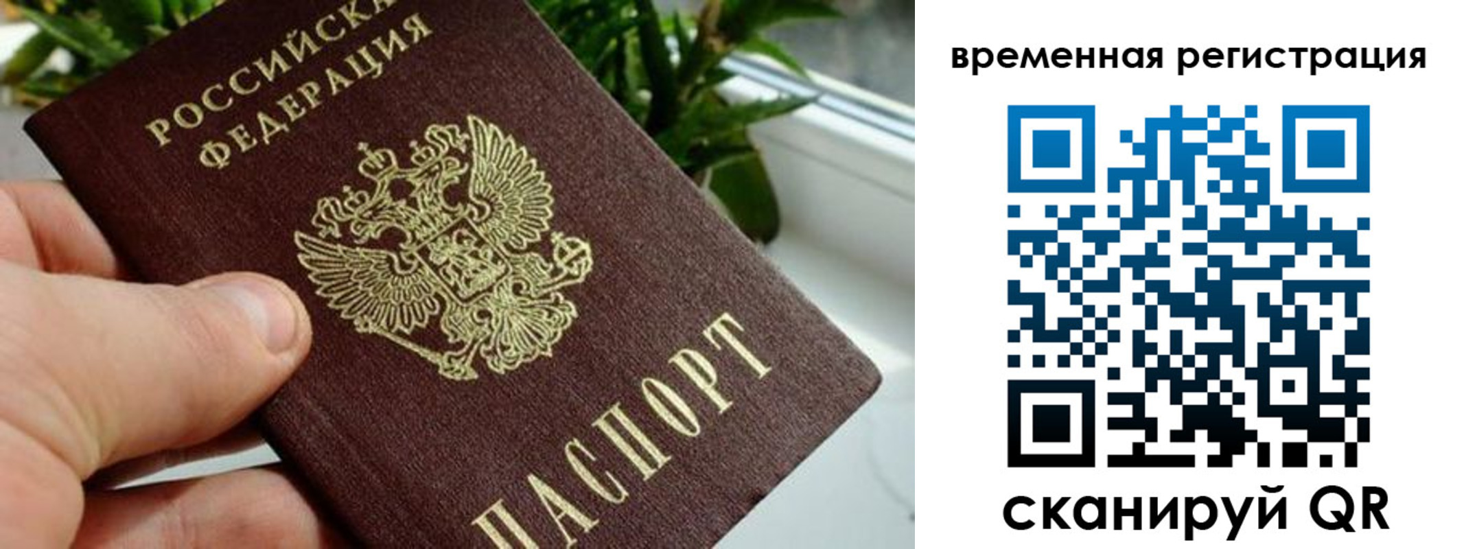 прописка поиск в Петровск-Забайкальском